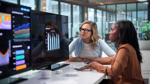 Data Analysts Review Financial Dashboards Together Stock Footage 346319911