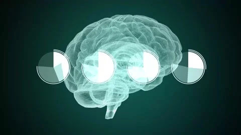 Data and report statistics, animation with graph diagrams. Stock Footage 168708586