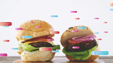 Data badges appearing, drifting, causing two burgers revealing layers, labeling Stock Footage 332505024