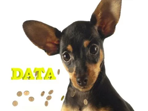 DATA  Bright word, Long Dog with long face and ears on white backgroundround Stock Illustration