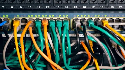 Data center computer with many plugged wires. 库存影片 111583696