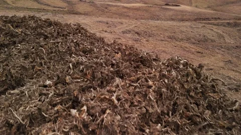 Data Centers in Forest Destruction and Environmental Collapse Stock Footage 336562630
