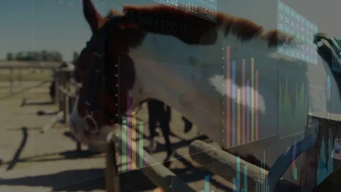 Data charts appearing, horse coming to rail, muzzle sliding, sniffing and 動画素材 333657229