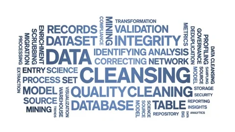 Data Cleansing animated word cloud,animation kinetic typography seamless loop. Stock Footage 308348541