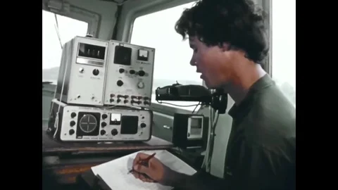 Data is collected, a mouthpiece is removed from a pilot whale and a hydrazine Stock Footage 79426611