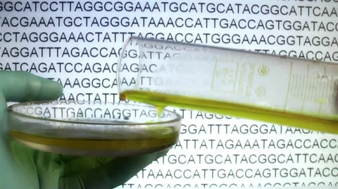 Data collection to determine the DNA Stock Footage 12522042
