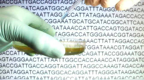 Data collection to determine the DNA Stock Footage 12522056