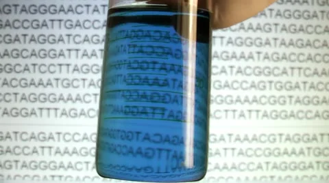 Data collection to determine the DNA Stock Footage 12522058