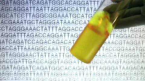 Data collection to determine the DNA Stock Footage 12522060