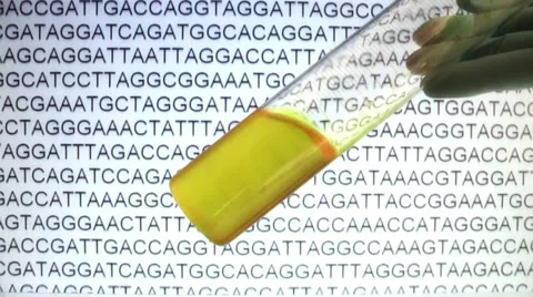 Data collection to determine the DNA Stock Footage 12522064
