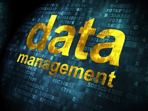 Data concept: Data Management on digital background Stock Illustration