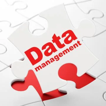 Data concept: Data Management on puzzle background Stockillustratie