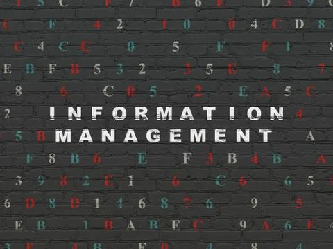 Data concept: Information Management on wall background Illustrazione stock