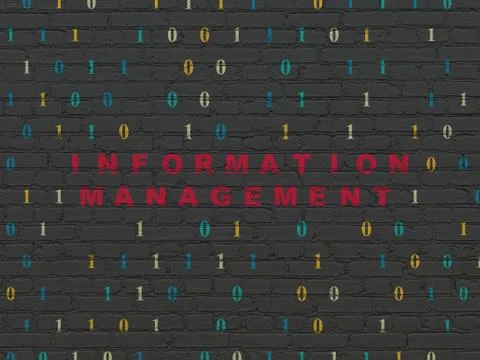 Data concept: Information Management on wall background Stock Illustration