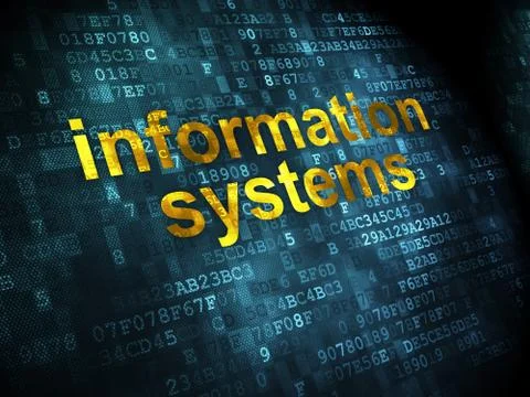 Data concept: Information Systems on digital background Stock Illustration