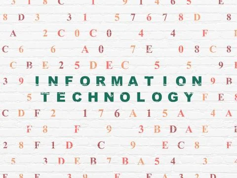 Data concept: Information Technology on wall background Illustrazione stock
