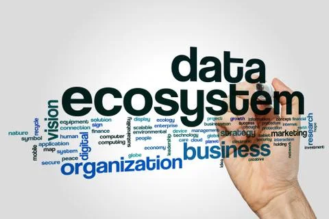 Data ecosystem word cloud concept on grey background Foto stock