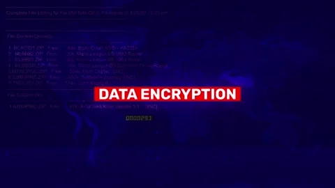 Data Encryption Error Warning Text on hacking background screen Stock Footage 317043846
