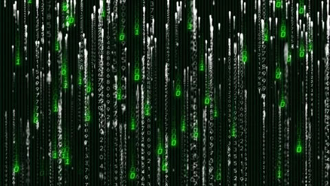 Data feed starting binary streams spawning top forming dense green code curtain Stock Footage 328485285