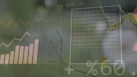 Data feed starting dashboard, pies expanding into bars, rising line filling Stock Footage 332956184