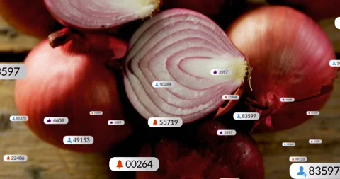 Data feed starting, red onions getting floating badges with icons and counters Stock Footage 331593293