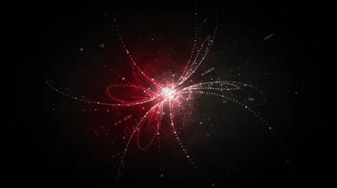 Data Flower Top Red Stock Footage 38896244