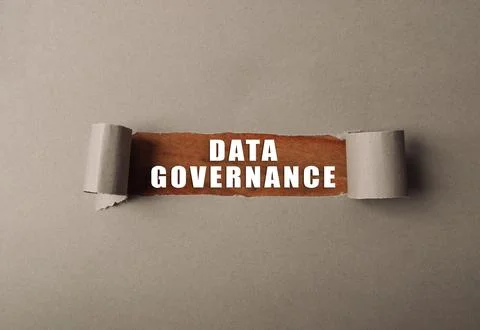 Data governance is the management of data in an organization Stockfoto's