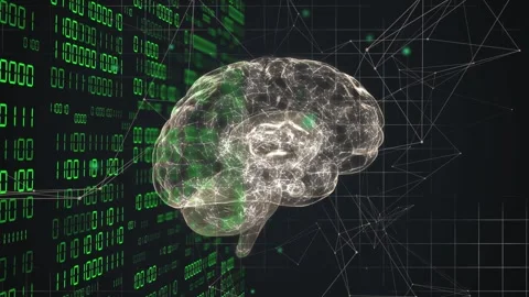 On data input brain rotating, pulsing while binary scrolling and network Stock Footage 334337828
