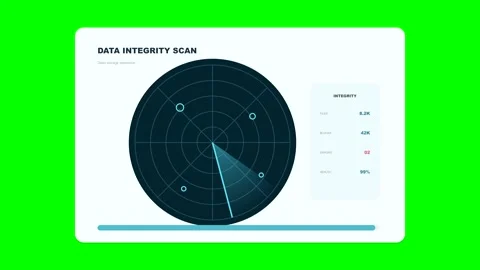 Data integrity scan radar interface animation 스톡 동영상 346981870
