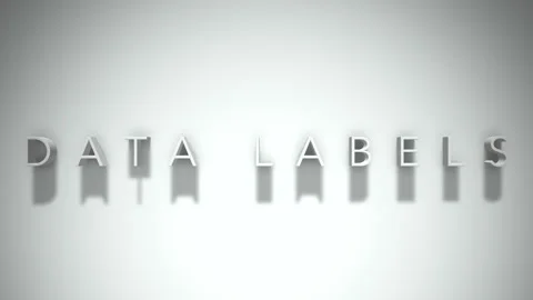 Data Labels 3D title animation with shadows on a white background Stock Footage 296701245