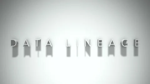 Data lineage 3D title animation white text on a white background Stock Footage 299429587