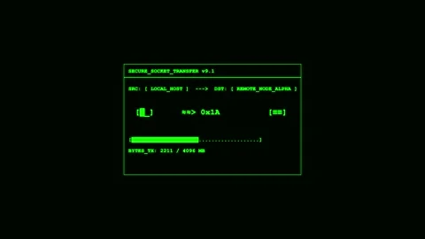 Data loading progress bar in green terminal interface Stock Footage 347013226