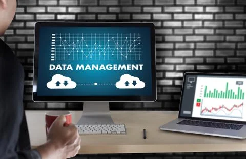 DATA MANAGEMENT File Database Cloud Network technology concept Stock Photos