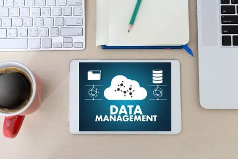 DATA MANAGEMENT File Database Cloud Network technology concept Stock Photos