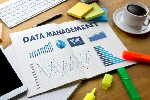 DATA MANAGEMENT File Database Cloud Network technology concept 스톡 사진