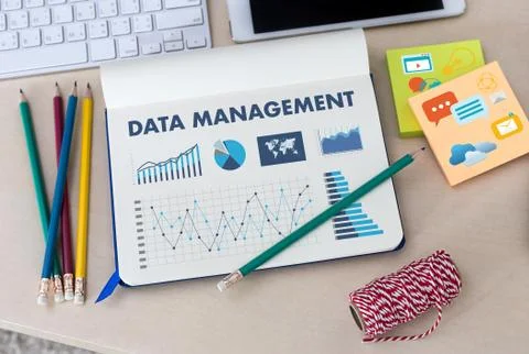 DATA MANAGEMENT File Database Cloud Network technology concept Stock Photos