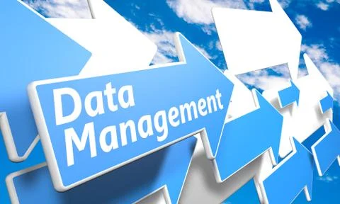 Data management 스톡 일러스트