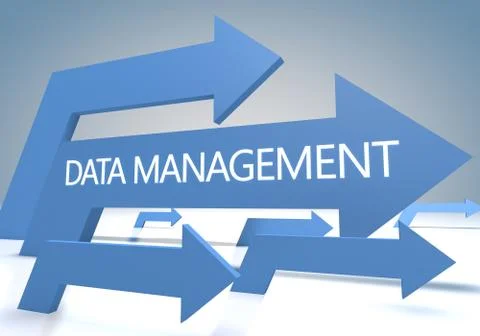 Data management イラスト素材