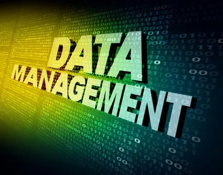Data Management Illustrazione stock