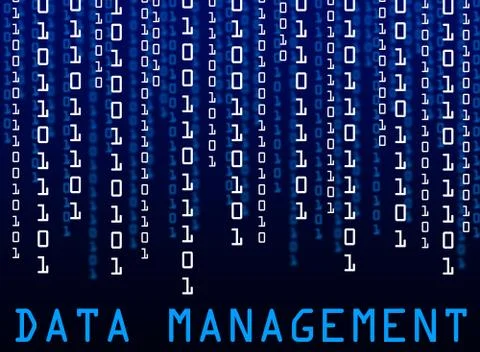 Data management Illustrazione stock