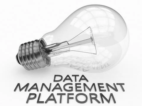 Data Management Platform Illustrazione stock