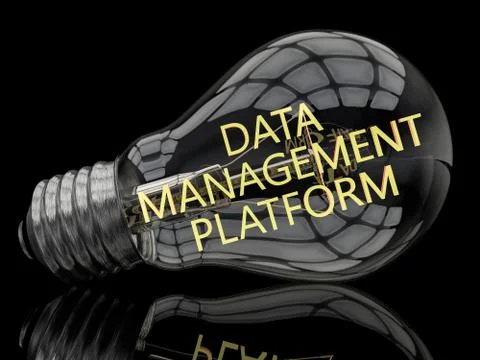 Data Management Platform Illustrazione stock