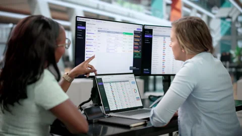 Data Manager And Analyst Collaborate Stock Footage 346319222