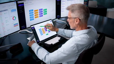Data Manager Reviews Enterprise Catalog Using Laptop Stock Footage 345319021