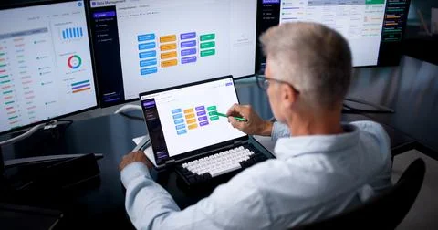 Data Manager Reviews Enterprise Catalog On Laptop Ensuring Quality Records. Stock Photos