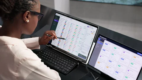 Data Manager Reviews Master Catalog On Laptop Stock Footage 344721610