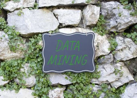 Data Mining symbol. Stone wall with words Data Mining. Beautiful stone back.. 写真素材
