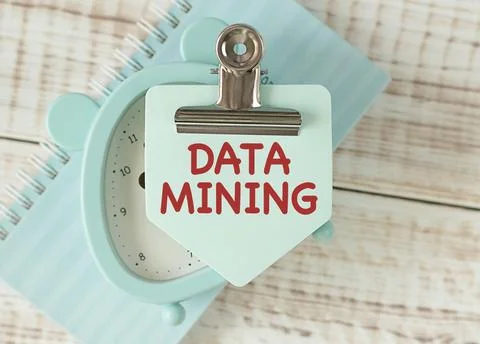Data mining text written on a notebook with pen and chart. Foto stock