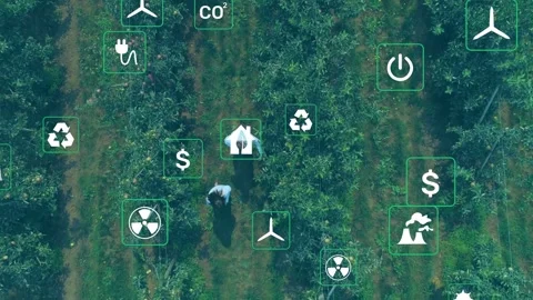 Data overlay appearing, two farmers walking rows, checking crops while eco icons Stock Footage 335212163