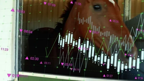 Data overlay showing at stall window drawing brown horse approaching, sniffing Stock Footage 333648842